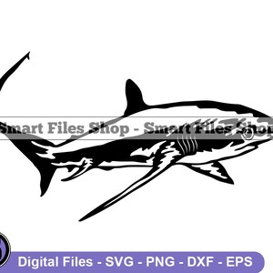 Thresher Shark #3 SVG, Thresher Shark SVG, Shark Svg, Thresher Shark Dxf, Thresher Shark Png, Thresher Shark Clipart, Files, Eps