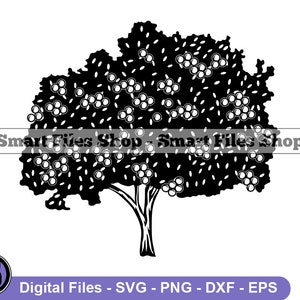 Orange Tree Svg, Fruit Tree SVG, Orange Tree Dxf, Orange Tree Png, Orange Tree Clipart, Orange Tree Files, Eps