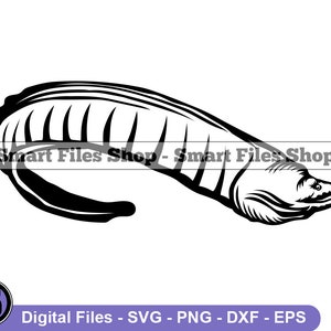 Moray Eel SVG, Eel SVG, Ocean Creatures Svg, Eel Dxf, Eel Png, Eel Clipart, Eel Files, Eps