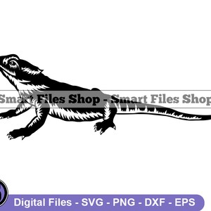 Bearded Dragon #2 SVG, Lizard Svg, Reptile Svg, Bearded Dragon Dxf, Bearded Dragon Png, Bearded Dragon Clipart, Bearded Dragon Files, Eps