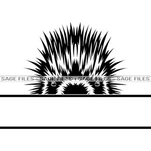 Peeking Porcupine #2 Svg, Porcupine Svg, Peeking Animals Svg, Monogram Svg, Porcupine Dxf, Porcupine Png, Porcupine Clipart, Files, Eps