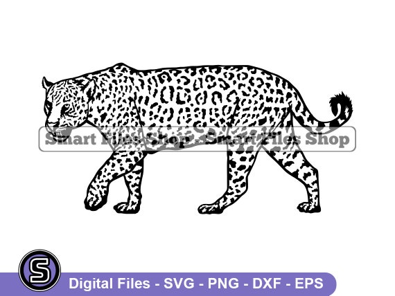 Jaguar 6 Svg Jaguar Svg Jungle Creatures Svg Jaguar Dxf - Etsy