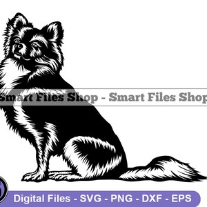 Sitting Pomchi SVG, Pomchi Svg, Dog Svg, Pomchi Dxf, Pomchi Png, Pomchi Clipart, Pomchi Files, Pomchi Eps
