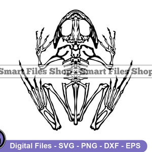 May include: Black and white line art illustration of a frog skeleton. The frog is sitting on its hind legs with its front legs outstretched. The frog's skull is visible, as well as its ribs, spine, and legs.