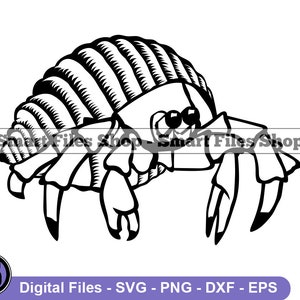 Pustelnik Krab Svg, Krab Svg, Stworzenia Morskie Svg, Pustelnik Krab Dxf, Pustelnik Krab Png, Pustelnik Krab Clipart, Pliki Pustelnik Krab, Pustelnik Krab Eps