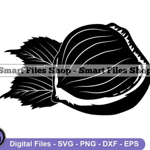 Hazelnut #4 Svg, Hazelnut Svg, Hazelnut Dxf, Hazelnut Png, Hazelnut Clipart, Hazelnut Files, Eps