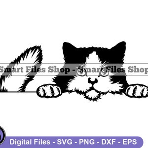 Ragamuffin Katze SVG, Katze SVG, Katze SVG, Katze Dxf, Katze Png, Katzen Clipart, Katze Dateien, Katze Eps