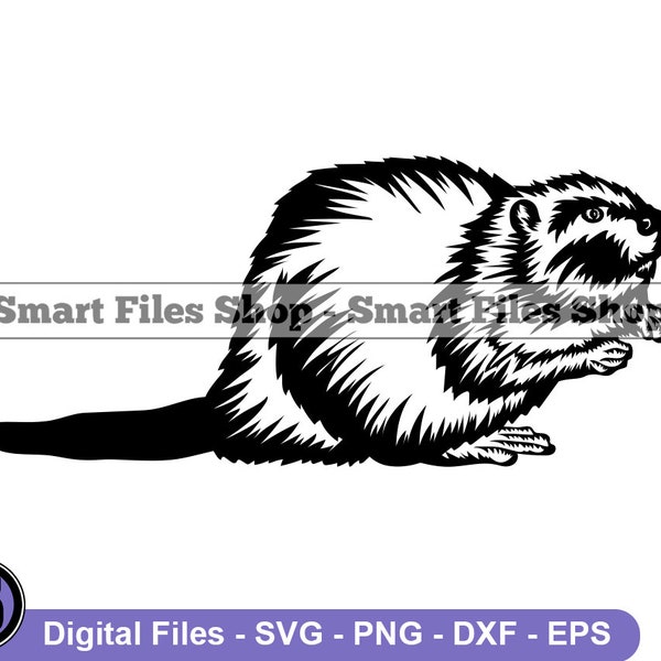 Beaver #2 SVG, Beaver SVG, Animals Svg, Beaver Dxf, Beaver Png, Beaver Clipart, Beaver Files, Beaver Eps