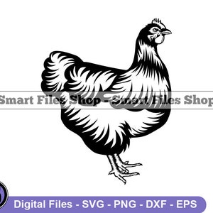 Rhode Island Red Chicken Svg, Frango Dxf, Frango Png, Clipart De Frango, Arquivos De Frango, Frango Eps