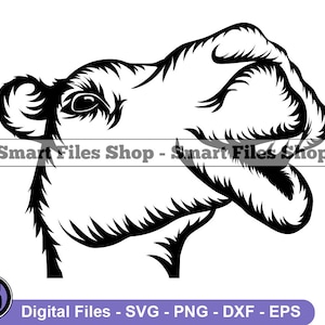 Smiling Camel SVG, Camel Svg, Camel Face Svg, Camel Dxf, Camel Png, Camel Clipart, Camel Files, Eps