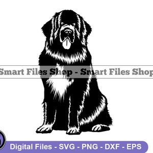 Sitting Newfoundland SVG, Newfoundland Svg, Dog Svg, Newfoundland Dxf, Newfoundland Png, Newfoundland Clipart, Newfoundland Files, Eps