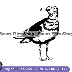 Seagull Svg, Nautical Svg, Seagull Dxf, Seagull Png, Seagull Clipart, Seagull Files, Eps