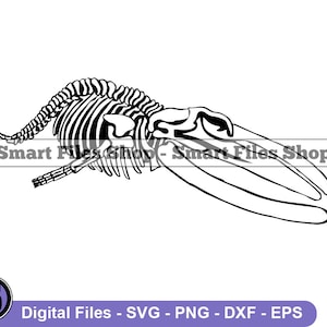 Whale Skeleton Svg, Whale Svg, Sea Creatures Svg, Whale Dxf, Whale Png, Whale Clipart, Whale Files, Whale Eps