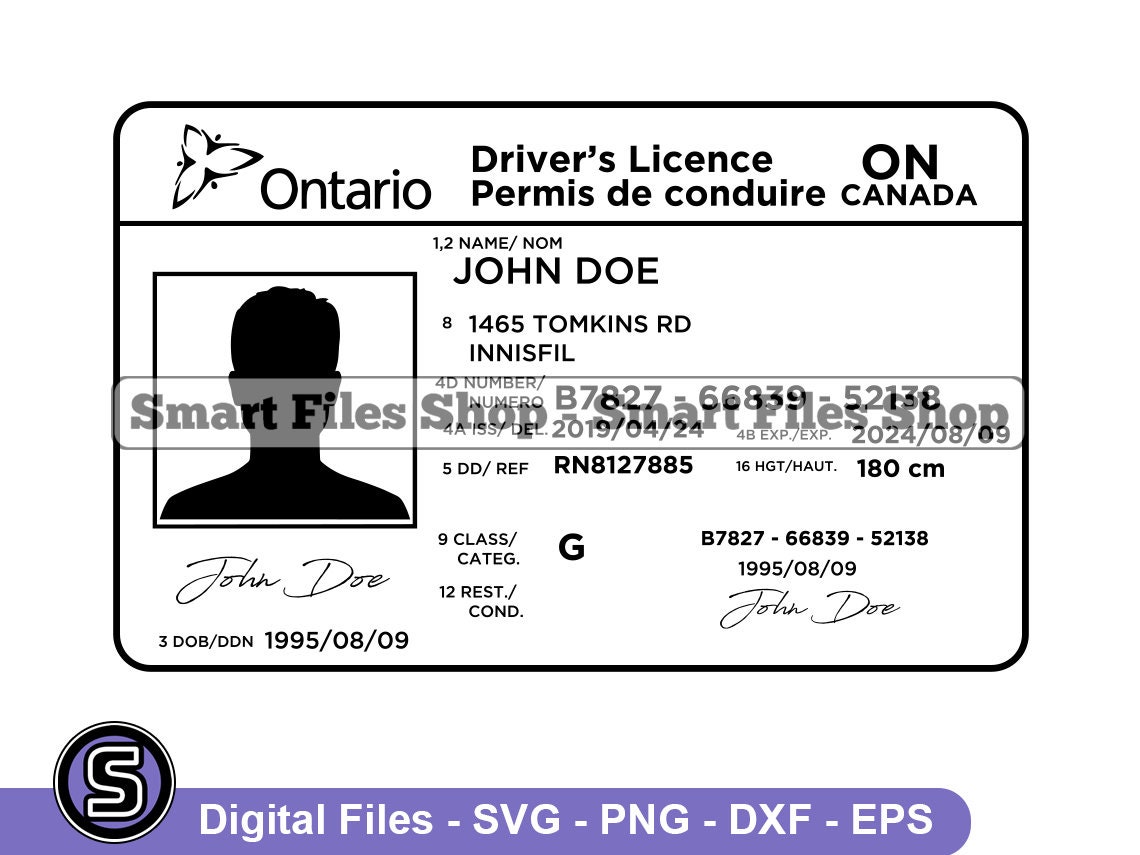 Drivers License Storyboard por 28d7d8b0