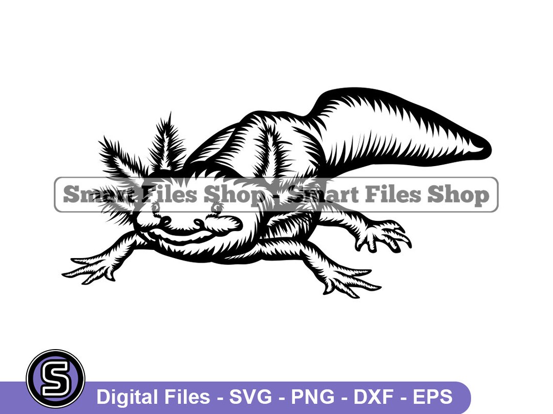 Axolotl 2 Svg, Axolotl Svg, Amphibian Svg, Axolotl Dxf, Axolotl Png