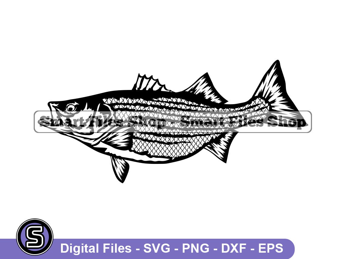 Hybrid Striped Bass Svg, Fish Svg, Fishing Svg, Fishing Dxf