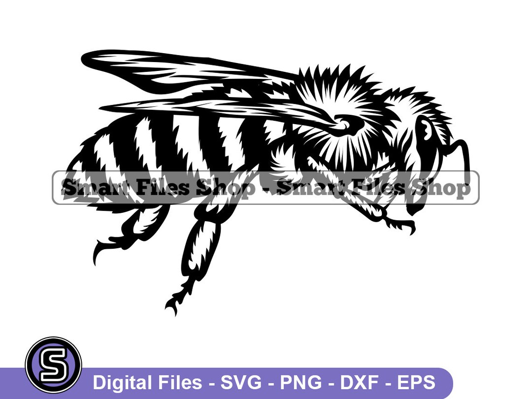 Honey Bee 2 Svg, Bee SVG, Queen Bee Svg, Honey Bee Dxf, Honey Bee Png