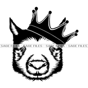 Wombat In Crown #2 SVG, Wombat King SVG, Wombat Dxf, Wombat Png, Wombat Clipart, Wombat Files, Eps