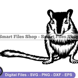 May include: Black and white line art illustration of a gerbil. The gerbil is sitting on its hind legs with its front paws tucked in. The gerbil has a long tail and a fluffy body.