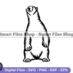Standing Polar Bear Svg, Polar Bear Svg, Polar Bear Dxf, Polar Bear Png, Polar Bear Clipart, Polar Bear Files, Eps