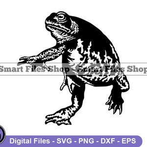 Flying Toad Svg, Toad Svg, Frog Svg, Toad Dxf, Toad Png, Toad Clipart, Toad Files, Eps
