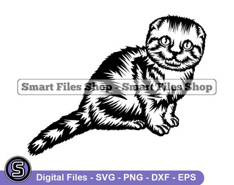 Scottish Fold Kitten Svg, Kitten Svg, Kitten Dxf, Kitten Png, Kitten Clipart, Kitten Files, Eps