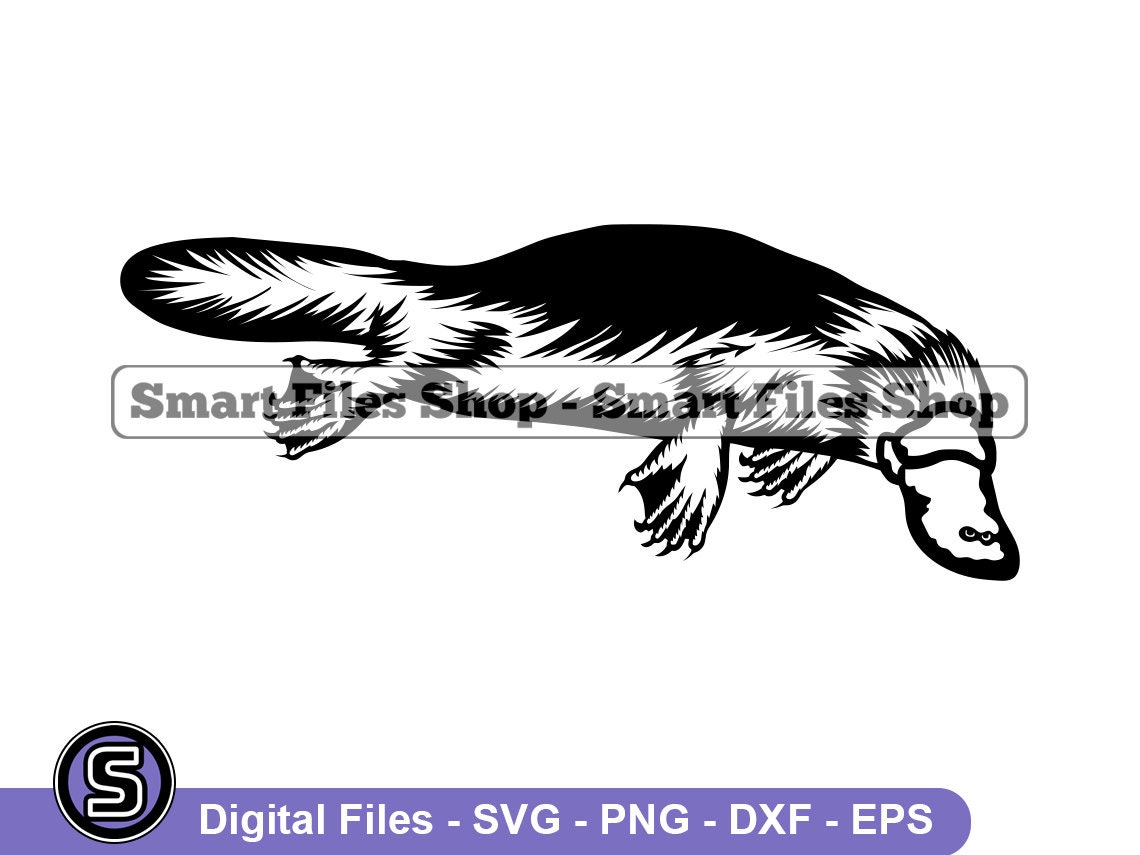 Platypus 3 SVG Platypus SVG Animals Svg Platypus Dxf Etsy