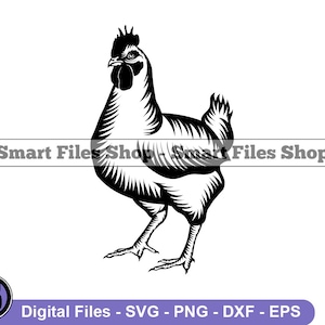 Cornish höna svg, kornisk kyckling svg, gårdsdjur svg, gårdsdjur dxf, gårdsdjur png, gårdsdjur clipart, gårdsdjur filer, eps