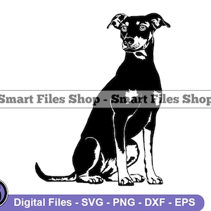 Sitting German Pinscher SVG, German Pinscher Svg, Dog Svg, German Pinscher Dxf, German Pinscher Png, German Pinscher Clipart, Files, Eps
