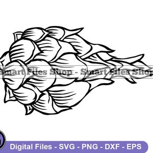 Dragon Fruit #2 SVG, Fruits SVG, Dragon Fruit Dxf, Dragon Fruit Png, Dragon Fruit Clipart, Dragon Fruit Files, Eps
