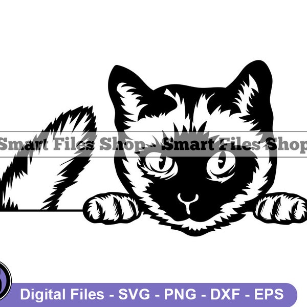 Peeking Siamese Cat SVG, Peeking Cat SVG, Cat Svg, Cat Dxf, Cat Png, Cat Clipart, Cat Files, Cat Eps