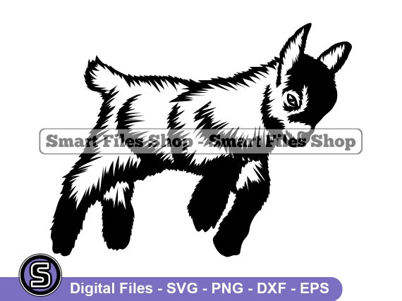 Jumping Baby Goat Svg, Goat Svg, Baby Goat Dxf, Baby Goat Png, Baby Goat  Clipart, Baby Goat Files, Eps - Etsy