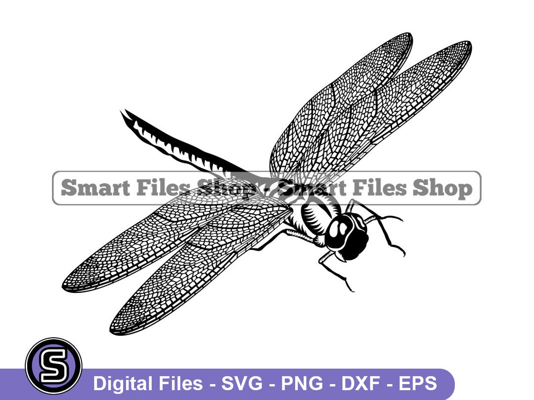 Dragonfly Svg, Insect Svg, Bug Svg, Dragonfly Dxf, Dragonfly Png