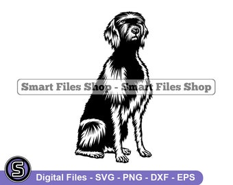 Pudelpointer Clipart - Etsy