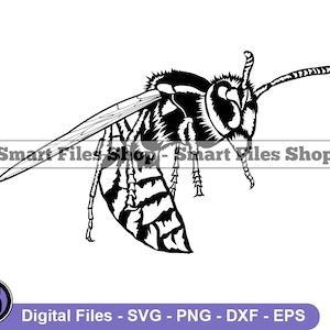 Yellow Jacket #2 Svg, Wasp Svg, Insect Svg, Wasp Dxf, Wasp Png, Wasp Clipart, Wasp Files, Wasp Eps