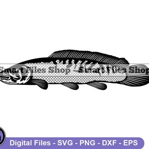 Bowfin Svg, Fish Svg, Fishing Svg, Fishing Dxf, Fishing Png, Fishing Clipart, Fishing Files, Fishing Eps