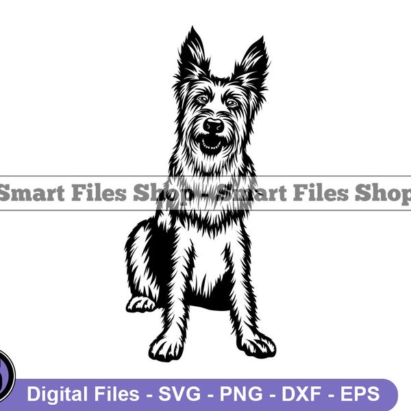 Sitting Berger Picard SVG, Berger Picard Svg, Dog Svg, Berger Picard Dxf, Berger Picard Png, Berger Picard Clipart, Files, Eps