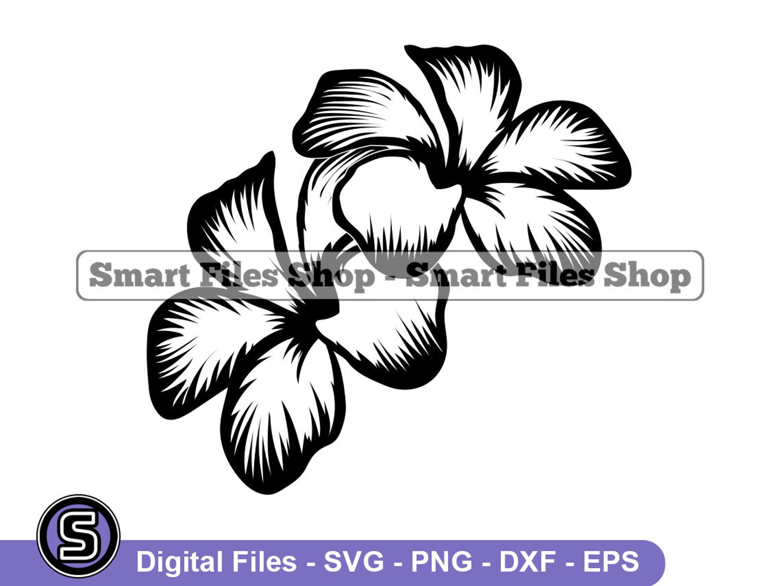 Frangipani Flowers Svg Frangipani Flower Svg Flower Svg Etsy