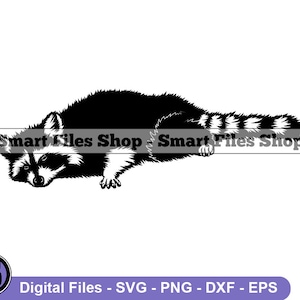 Sleeping Raccoon #2 SVG, Raccoon Svg, Raccoon Dxf, Raccoon Png, Raccoon Clipart, Raccoon Files, Eps