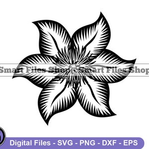Clematis Flower Svg, Flower Svg, Clematis Flower Dxf, Clematis Flower Png, Clematis Flower Clipart, Clematis Flower Files, Eps