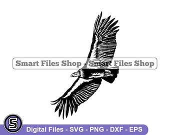 Condor Svg, Predator Bird Svg, Condor Dxf, Condor Png, Condor Clipart, Condor Files, Condor Eps