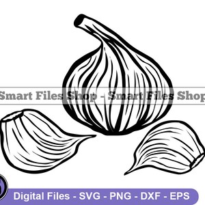 Garlic #2 Svg, Garlic Svg, Vegetable Svg, Garlic Dxf, Garlic Png, Garlic Clipart, Garlic Files, Garlic Eps