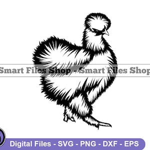 May include: Black and white silhouette of a Silkie chicken with a fluffy, feathery body and a small, crested head.