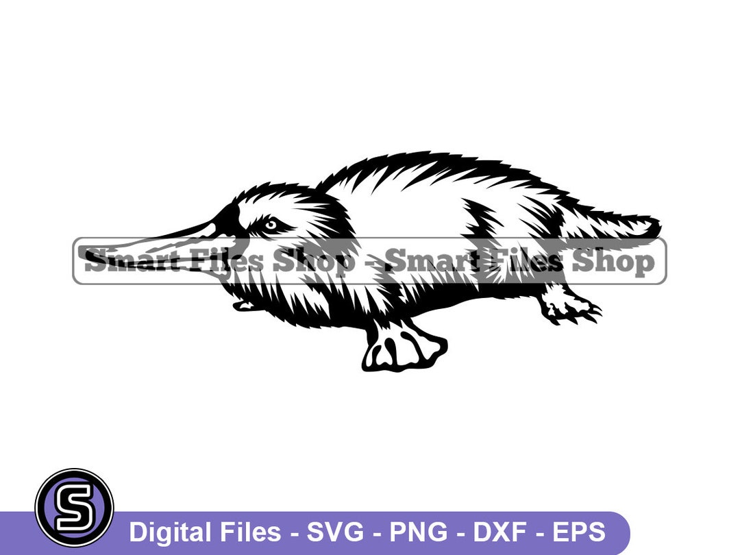 Platypus 2 SVG Platypus SVG Animals Svg Platypus Dxf Etsy