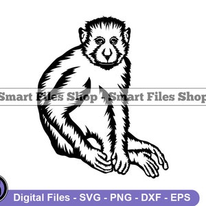 May include: Black and white line art illustration of a monkey sitting with its arms crossed.