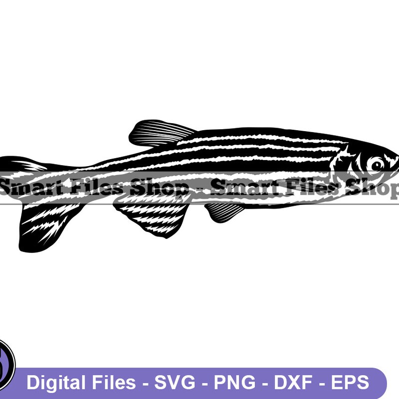 Zebra Fish - Etsy