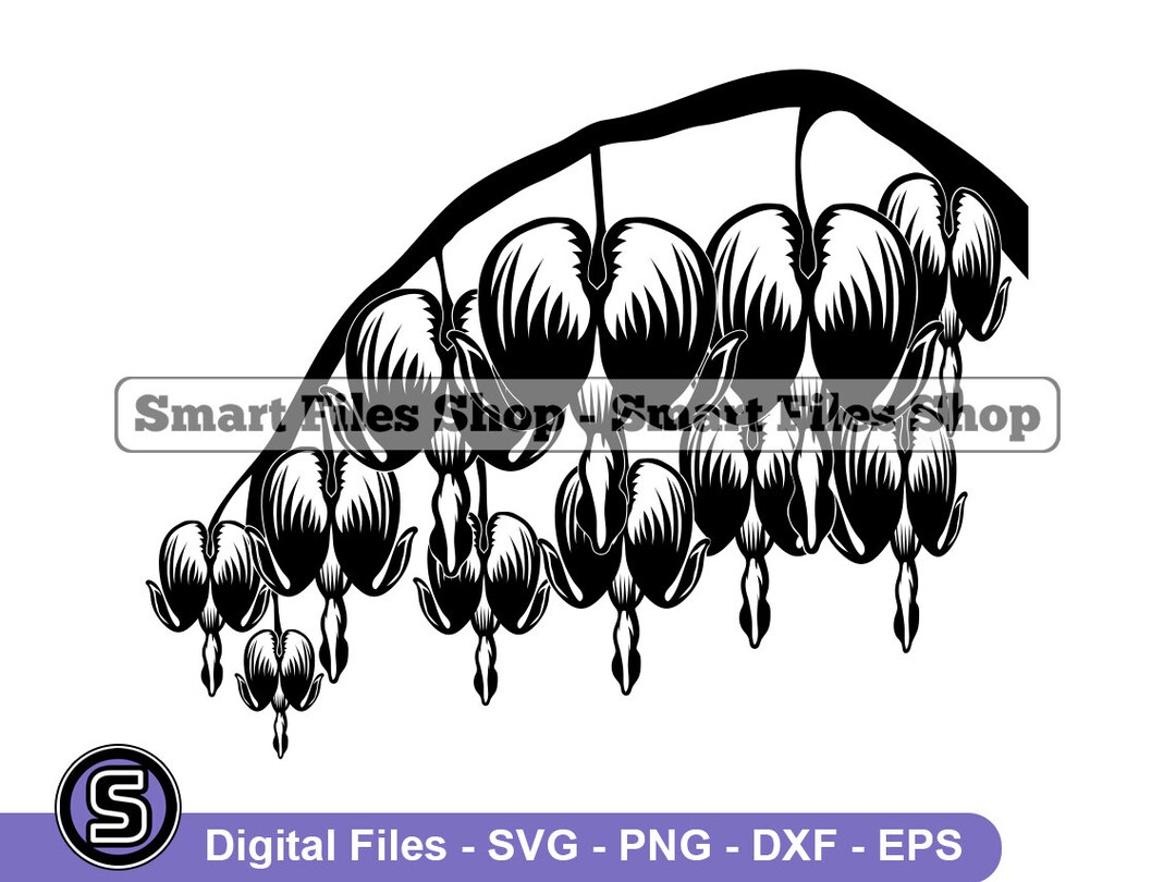 Dicentra Flower SVG Dicentra SVG Flower Svg Flower Dxf Etsy Australia