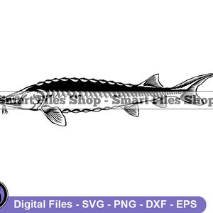Lake Sturgeon Svg, Fish Svg, Fishing Svg, Fishing Dxf, Fishing Png, Fishing Clipart, Fishing Files, Fishing Eps