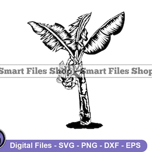 Banana Tree Svg, Palm Tree Svg, Tropical Tree Svg, Banana Tree Dxf, Banana Tree Png, Banana Tree Clipart, Banana Tree Files, Eps