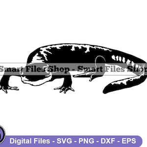 Salamander #3 Svg, Salamander Svg, Lizard Svg, Salamander Cut Files, Salamander Files for Cricut, Salamander Clipart, Png, Dxf, Eps